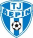 tj_repin_logo